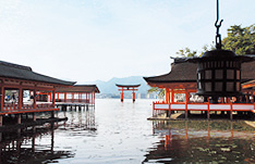 厳島神社(キシラモン施工)