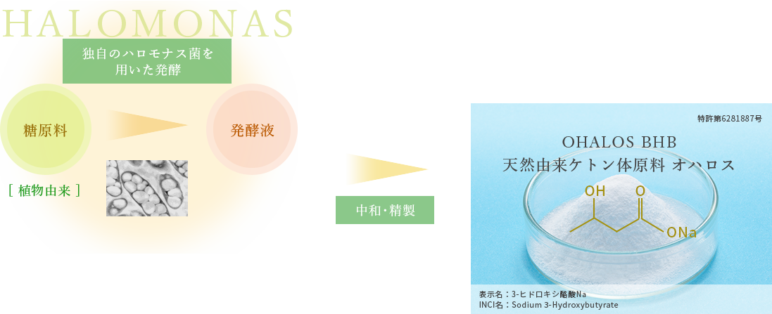 天然由来 説明画像