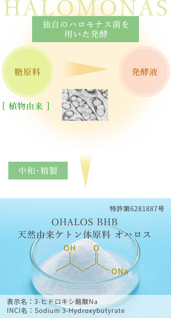 天然由来 説明画像