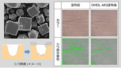 化粧品原料 (OVEIL)