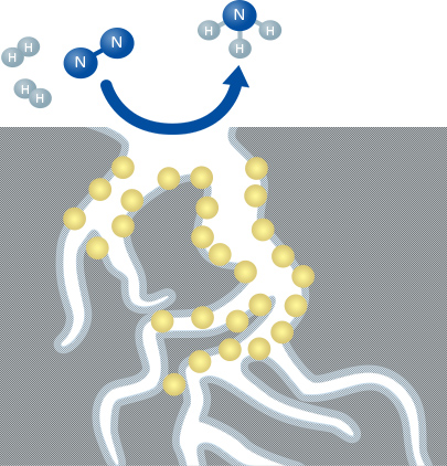 Adsorption mechanism of a noble metal catalyst