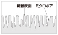 電子顕微鏡写真｢アドール｣